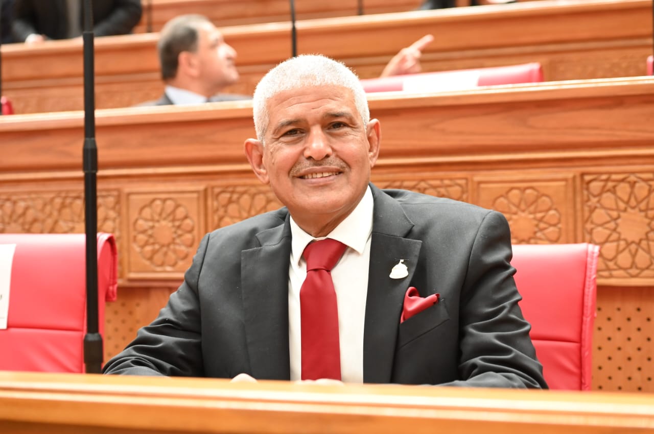 المشاريع التنموية